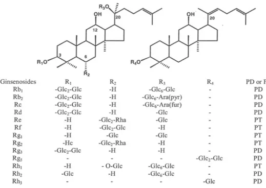 Figura 4-Strutture chimiche dei principali tipi di ginsenosidi. Abbreviazioni per i carboidrati:  Glc = glucopiranoside; Ara(fur) = arabinofuranosio; Ara(pyr) = arabinopiranoside; Rha = 