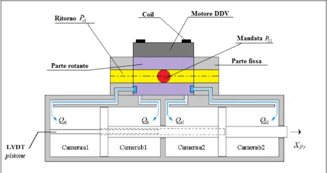 Figura 2.1: schema di funzionamento del complesso servovalvola DDV – attuatore, per attuatore 