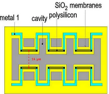 Figura 3.7: Rappresentazione schematica in pianta del sensore acustico progettato. La distanza tra i fili del sensore è di 24 micron.
