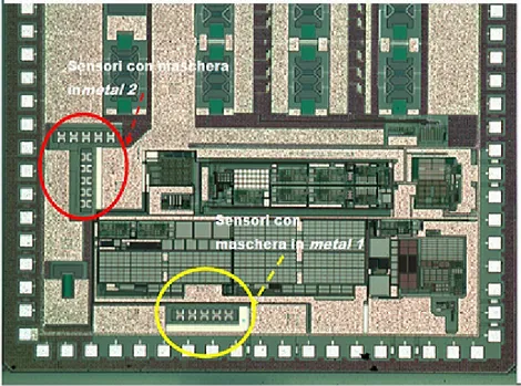 Figura 3.8: Foto al microscopio ottico dei sensori che evidenza la loro posizione relativa sul chip.