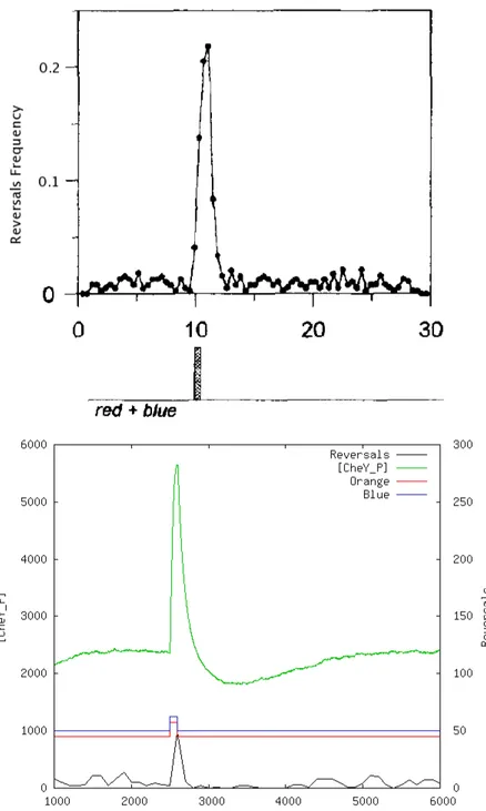 Figure 8.9: Top: red and blue flash response, modified from [5]; bottom: our result.