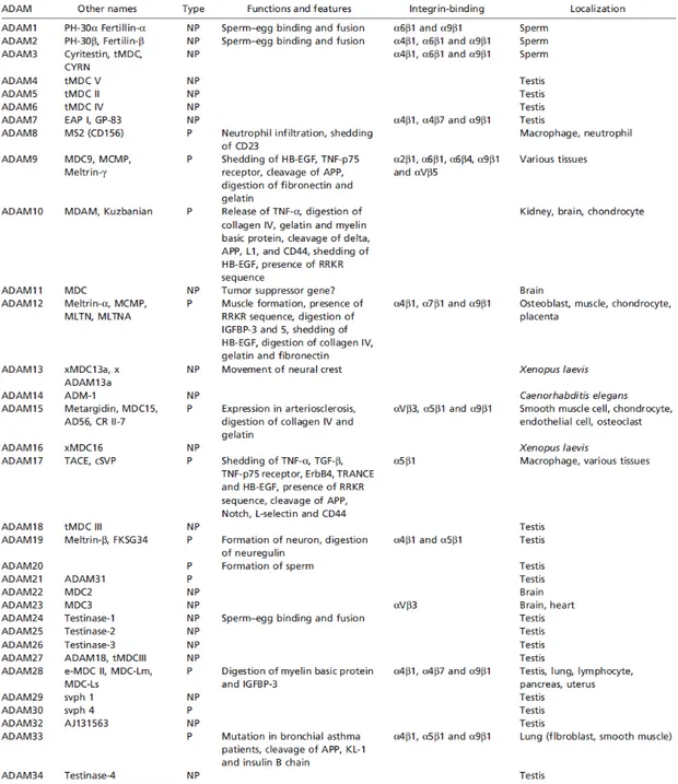 Table 1.2.  The Disintegrin and Metalloproteinase (ADAM) family 16 . 