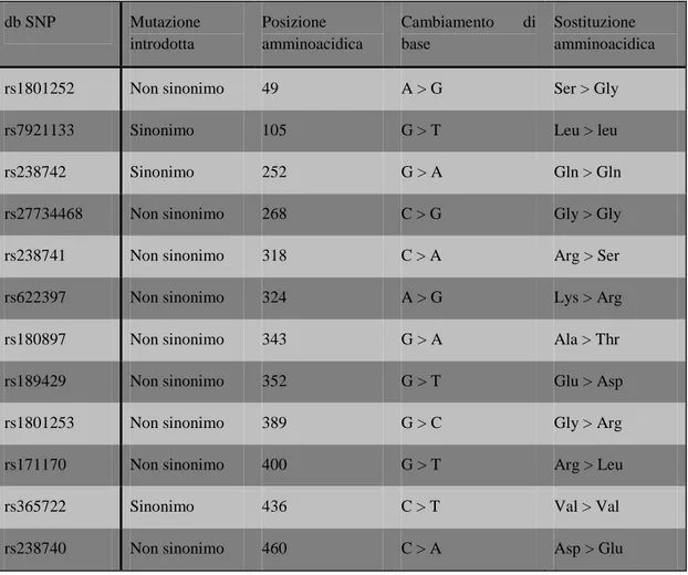Tabella 1. Elenco dei 12 SNPs fino ad ora conosciuti del gene ADRB1. 
