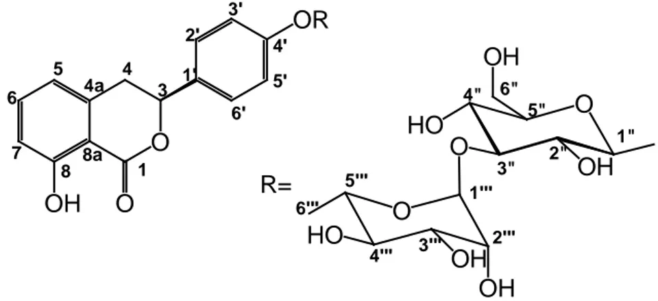 Fig. 2.6 Struttura del composto 4, idrangenolo 4’-O- α- L -ramnopiranosil-(1 →3)-β- D -