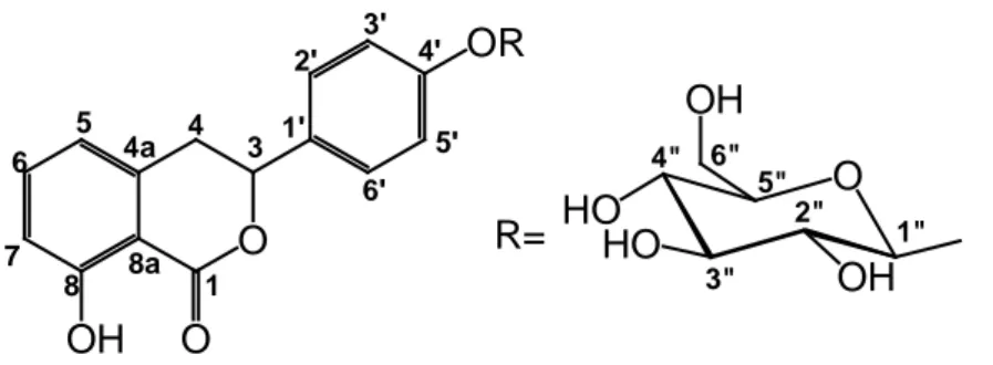 Fig. 2.10 Struttura del composto 10, idrangenolo 4’-O- β- D -glucopiranoside 