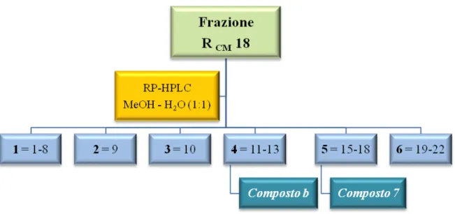 Fig. 3.7 HPLC della frazione R CM  18 