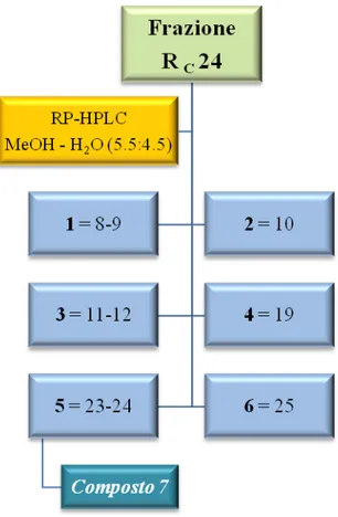 Fig. 3.10 HPLC della frazione R C  24 