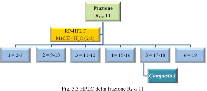 Fig. 3.3 HPLC della frazione R CM  11