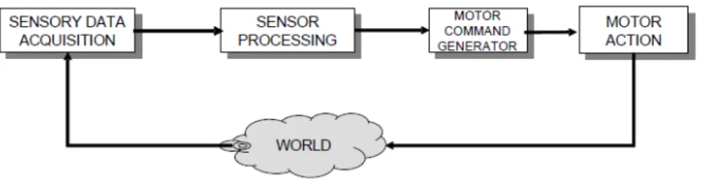 Figura 1.4: Sistema feedback. notare il loop che parte dal mondo, passa per l'acquisizione ed elaborazione dei dati sensoriali, la generazione dei comandi motori, per poi tornare al mondo attraverso l'attuazione degli stessi.