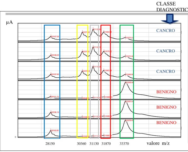 Figura 16 Rappresentazione grafica di alcuni spettri in un particolare range di massa