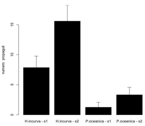 Figura 1. Media (± errore standard) del numero di propaguli di Caulerpa racemosa rilevato in  ciascun sito (s1 ed s2) per i due habitat esaminati (habitat dominato da H