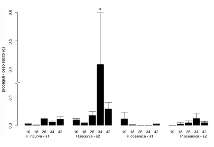 Figura 2. Media (± errore standard) del peso secco di propaguli di  Caulerpa racemosa, espresso in grammi (g), 