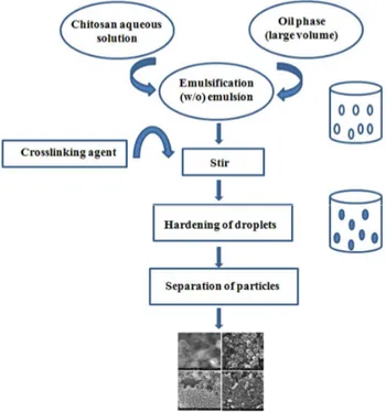 Figure 3. Schematic representation of preparation of chitosan particulate systems by emulsion cross-