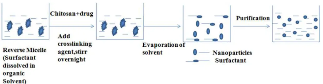 Figure 7. Schematic representation of preparation of chitosan particulate systems by reverse micellar 