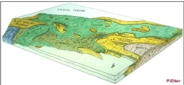 Fig. 2.1 Ricostruzione schematica dell'edificio strutturale dell'Appennino settentrionale, da  Elter 1994.