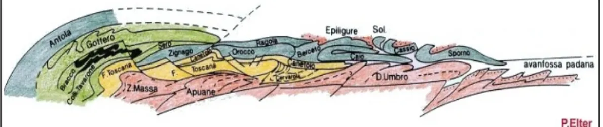 Fig. 2.2 Sezione schematica attraverso l’Appennino settentrionale, che evidenzia i rapporti geometrici tra le varie unità tettoniche, da Elter (1994).