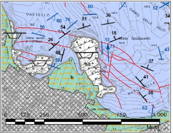 Fig. 2.4 Il colore azzurro si riferisce alla formazione del Calcare Massiccio. Estratto della  carta geologica 1:10000 sezione 273010 VECCHIANO del Servizio Geologico Regionale  (Carosi &amp; Pertusati, 2006).