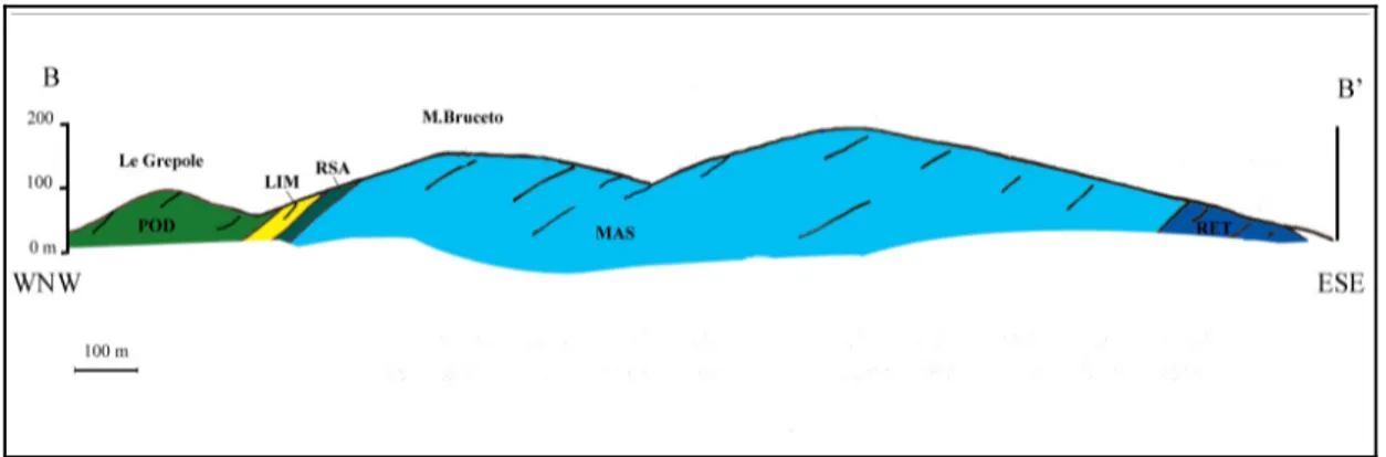 Fig.   2.5   Sezione   geologica   B-B'   della   carta   geologica   della  Toscana   1:10000   sezione  273010 denominata VECCHIANO (Carosi &amp; Pertusati, 2006).