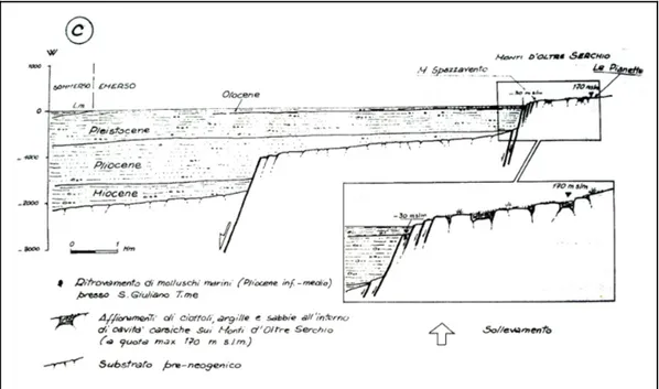 Fig. 2.7 Schema evolutivo del margine settentrionale della pianura pisana dal Pliocene  inferiore-medio (D'Amato &amp; Nardi, 1993).