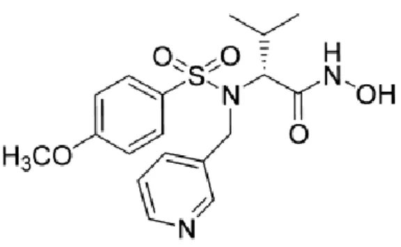 Figura 6: Struttura chimica dell’inibitore CGS_27023A (standard di riferimento) 