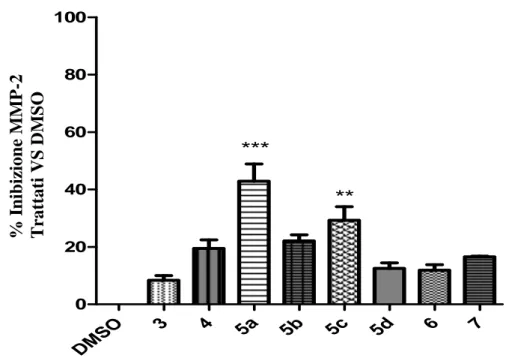 Figura  11:  percentuale  di  inibizione  dell’attività  gelatinolitica  dell’enzima  ricombinante  umano  MMP-2  esercitata  dai  composti  in  esame  o  dallo  standard  CGS_27023A