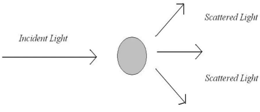 Figure 4 Light Scattering [Chu, 1970] 