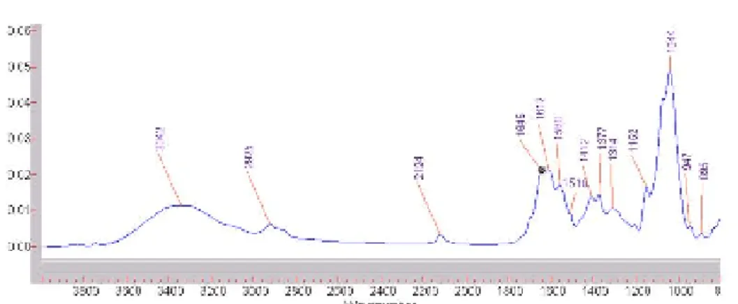 Fig.  2.  IR  spectra  of  the  photoreactive  polymer.  The  band  at  2124  cm -1 indicates the presence of the azidophenyl groups in the polysaccharide