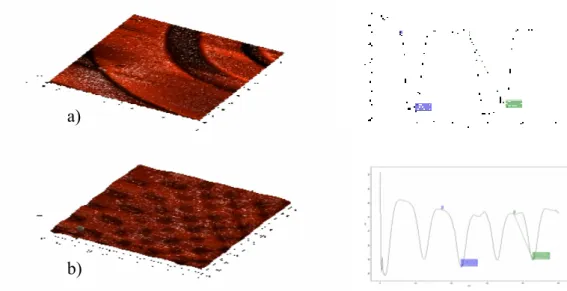 Fig.  6.  AFM  images  (scan  size  50x50µm2)  of  Hyal  spiral  a)  and  Hyal  squares b) on aminosilanised glass surface