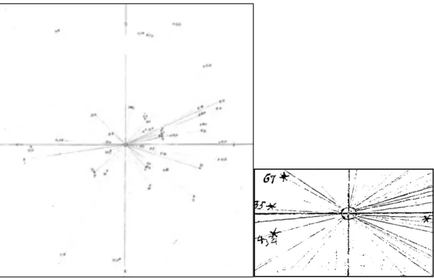 Figure  11    e  12 Disegno  del  grafico  e  particolare  della  parte  centrale  rappresentativa  dell’estensione  della  visione naturale 309