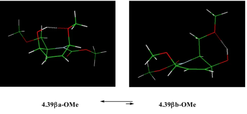 Fig. 4.2. Preferred conformer in model compounds 4.38α-OMe, 4.38β-OMe, 4.39α-OMe, and 4.39β-OMe,  corresponding to the addition products 4.38α, 4.38β, 4.39α, and 4.39β, with indication of the possible 