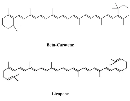 Figura 3: β-carotene e licopene Biosintesi carotenoidi