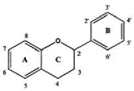Figura 5: Struttura base dei flavonoidi