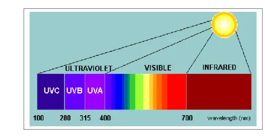 Figura 8: spettro solare