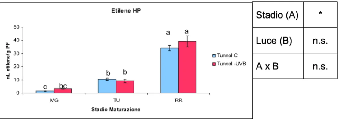 Figura 1 Andamento dell’emissione di etilene del frutto di pomodoro della linea HP agli stadi MG, TU 