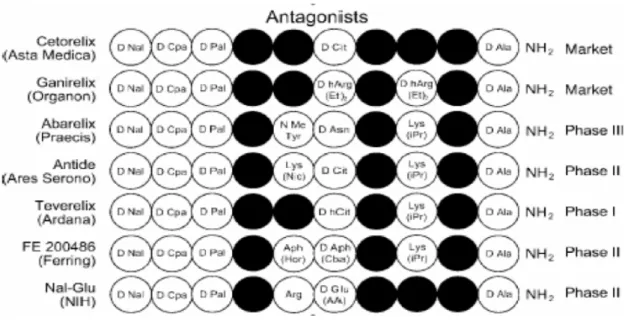 Figura 7 Analoghi antagonisti di sintesi del GnRH