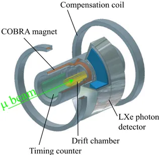 Figure 3.1: Three-dimensional view of the detectors used in the MEG experiment.