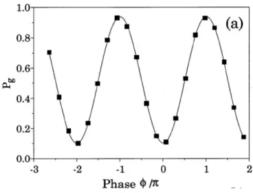 Figure 5.3: Observed Ramsey fringes ( RBH01 ).