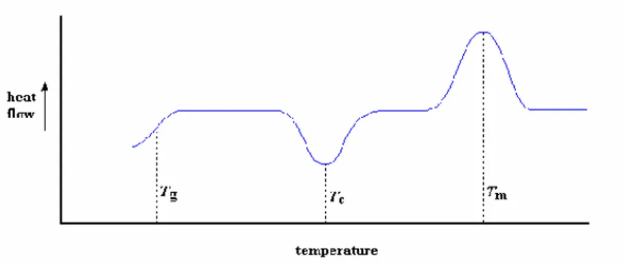 Figura 2.4.2.2: Curva calorimetrica di un polimero semicristallino 