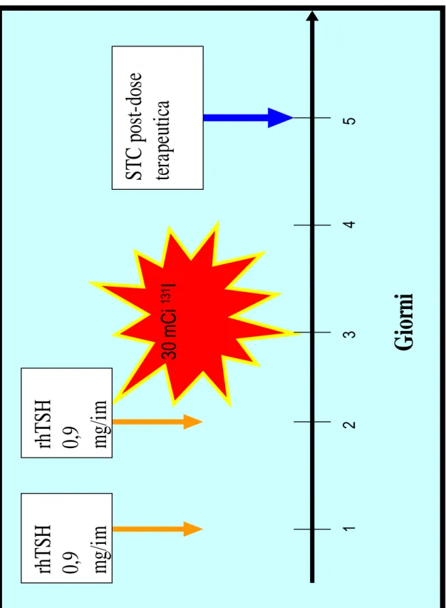 Figura  N°7:  schema  di  somministrazione  dell’rhTSH  e  della  terapia  radiometabolica  131 30 mCi 131IrhTSH0,9 mg/imrhTSH0,9 mg/imSTC post-doseterapeutica30 mCi 131IrhTSH0,9 mg/imrhTSH0,9 mg/imSTC post-doseterapeutica 12345 Giorni