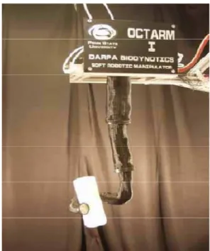Fig. 1.12 Ci sono dei dispositivi di suzione sulla punta  e sui lati di OctArm, simili alle ventose del polpo, che  permettono  al  robot  delle  capacità  di  grasping  come  raccogliere una pallina e sollevare una scatola 
