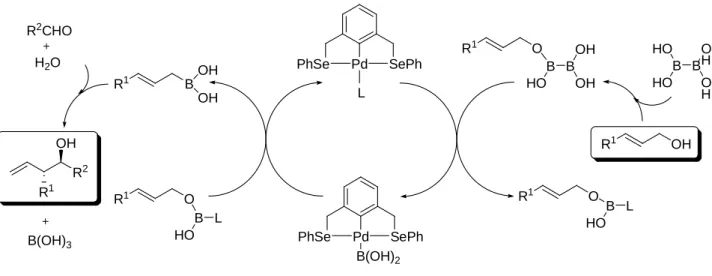 Figura  5.  Meccanismo  proposto  per  l’allilazione  di  aldeidi  con  acidi  allilboronici  generati da alcool allilici 