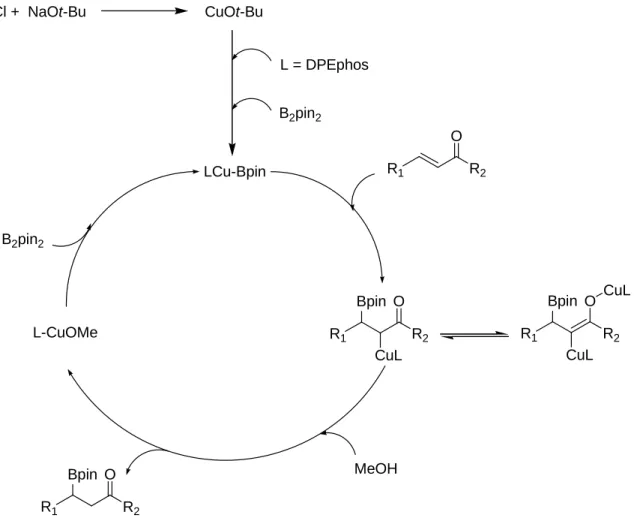 Figura 1. Meccanismo proposto per l’azione del metanolo 
