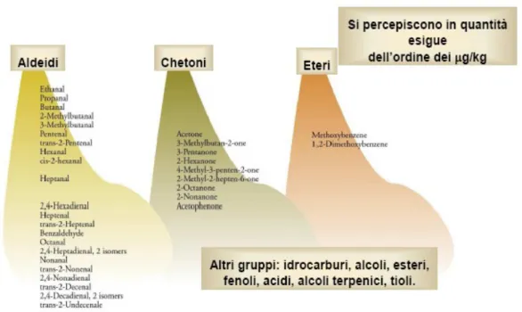 Figura 12: principali componenti responsabili dell'aroma dell'olio