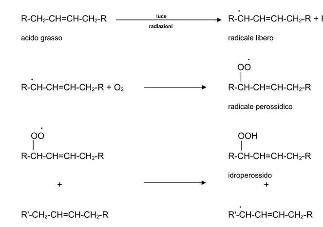 Figura 5: Processo di irrancidimento di acidi grassi insaturi