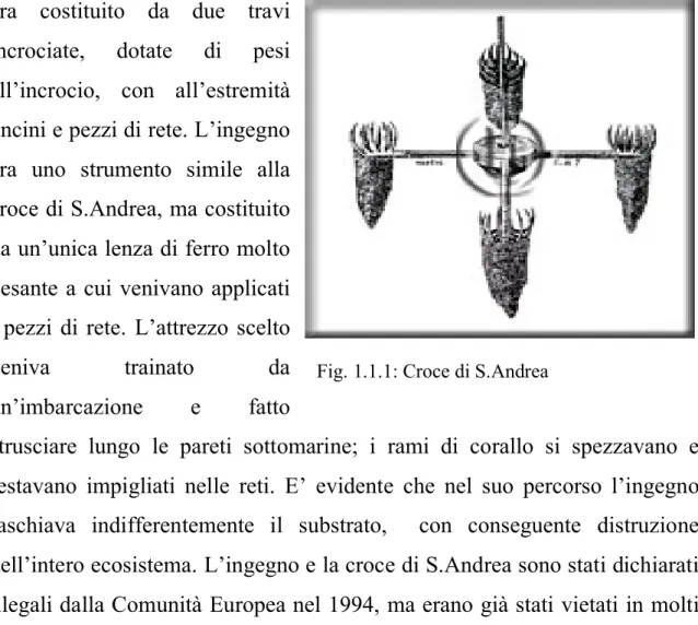 Fig. 1.1.1: Croce di S.Andrea 