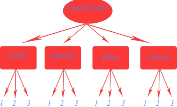 Fig. 2.2.1: Disegno di campionamento: area Cap de Creus con quattro siti,  (Caials, Furallon, Ielles, Forcats), tre quadrati per ogni sito all’interno dei quali  sono state campionate le colonie di Corallium rubrum