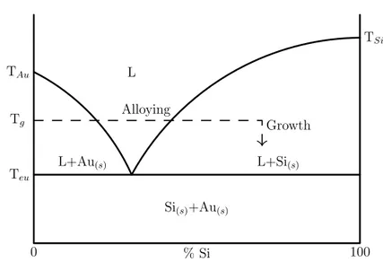 Figure 3.1: Representation of the VLS growth of Si nanowires from Au by means of the eutectic binary phase diagram