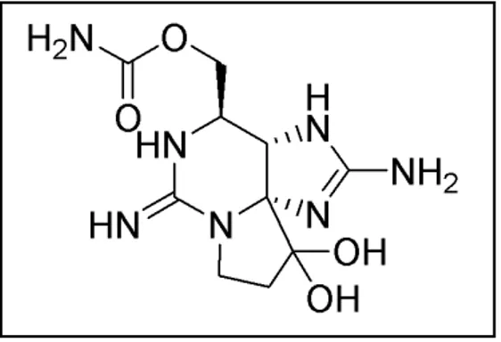 Fig.	
  13	
  StruHura	
  chimica	
  della	
  Saxitossina	
  (Marine	
  Biotoxins,	
  FAO	
  2004)