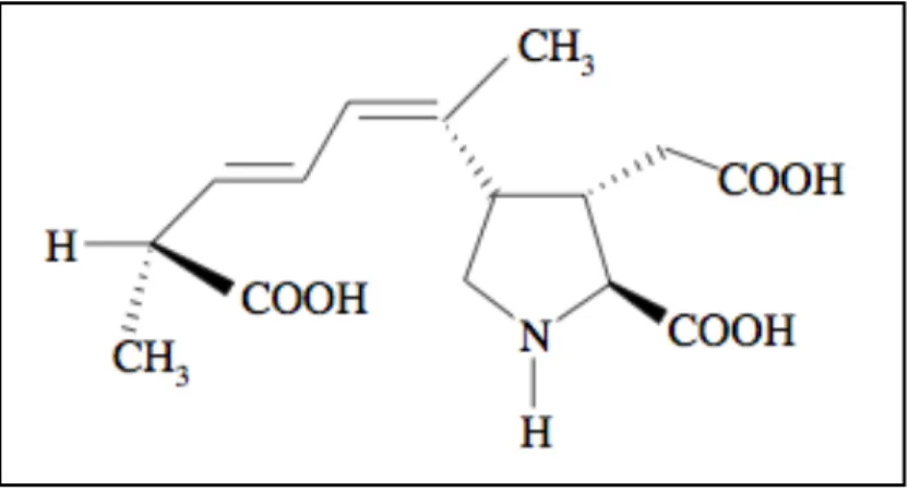 Fig.	
  14	
  StruHura	
  chimica	
  dell’acido	
  domoico	
  (Marine	
  Biotoxins,	
  FAO	
  2004)