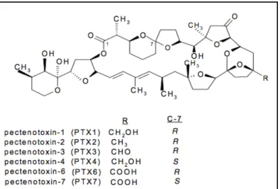 Fig.	
  16	
  StruHura	
  chimica	
  delle	
  Pectenotossine	
  (Marine	
  Biotoxins,	
  FAO	
  2004)